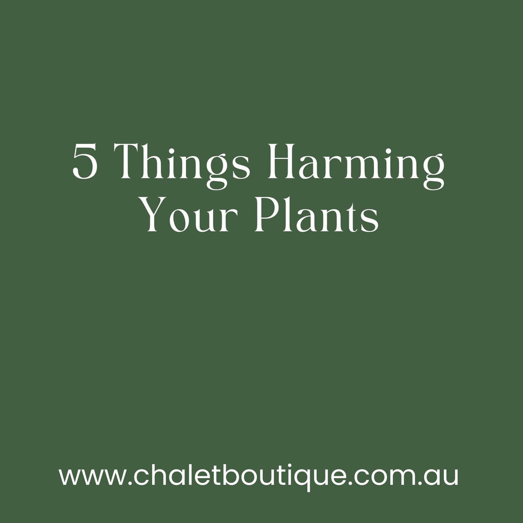 5 Things Harming Your Plants