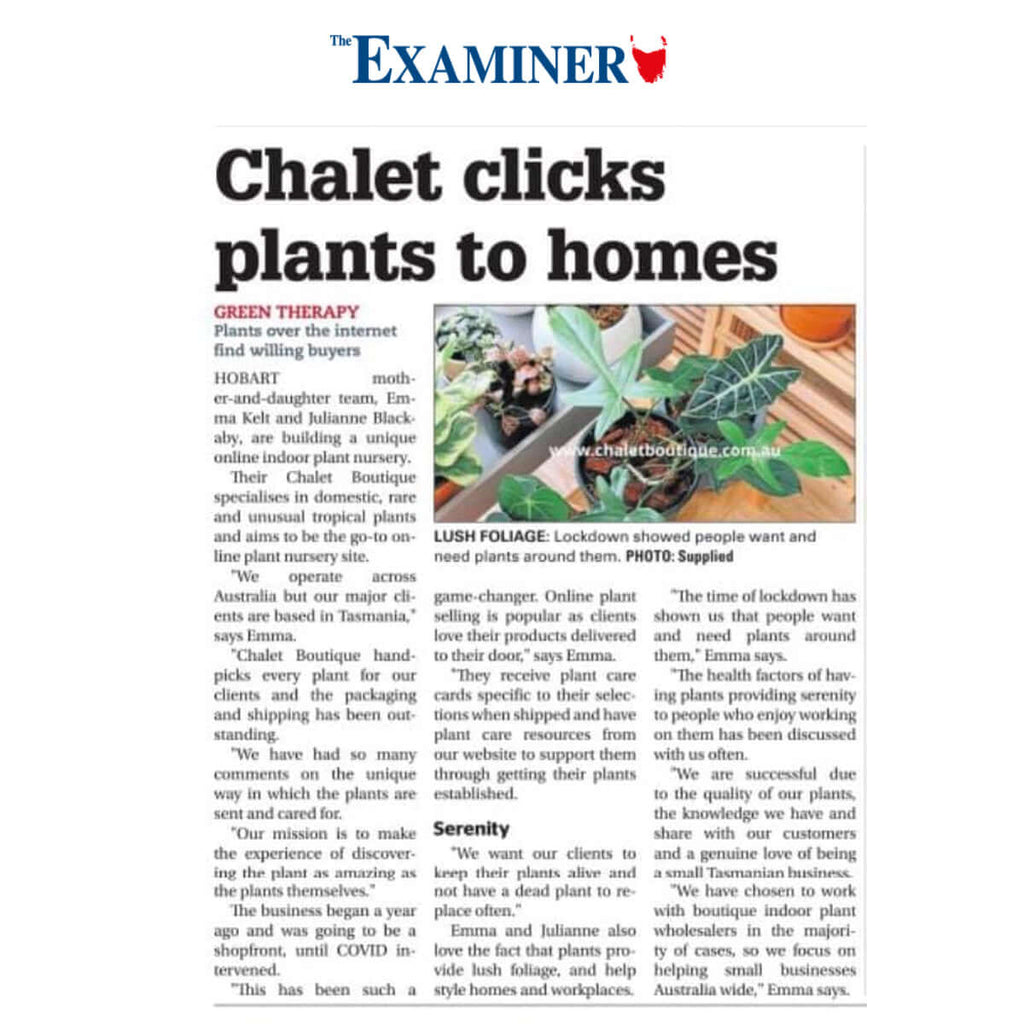 Chalet Clicks Plants To Home