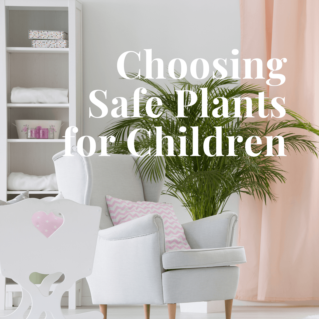Choosing Safe Plants for Children