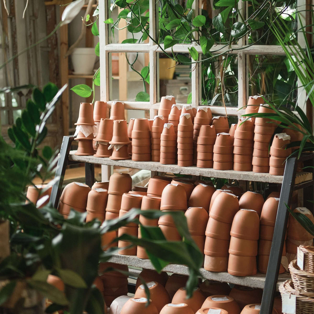 Stacked terracotta indoor plant pots in a lush greenhouse setting, ideal for houseplants. Chalet Boutique, Australia.