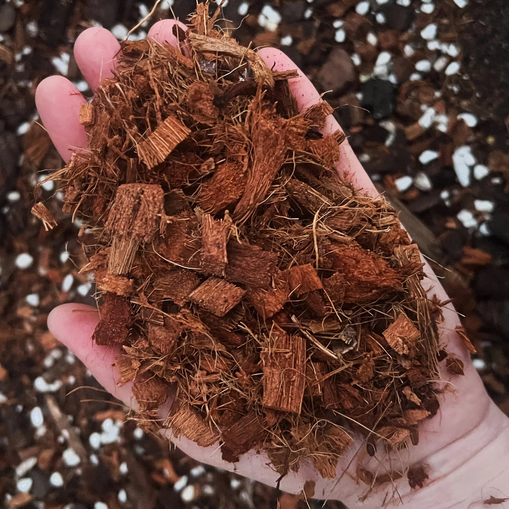 Coco coir chips in a hand, ideal for rare indoor plants and potting mixes, Chalet Boutique, Australia.