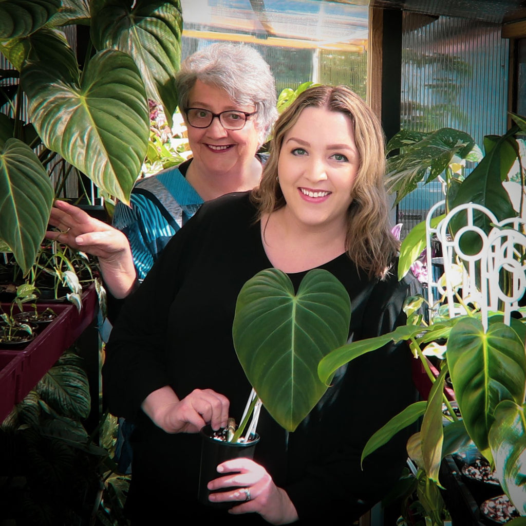 Meet Chalet Boutique's Owners: Emma Kelt & Julianne Blackaby - Australian Indoor Plant Nursery, Plants Online Australia