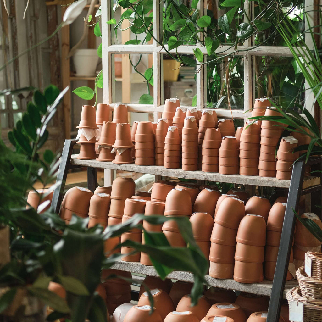 Potting Solutions for Your Plants at Our Australian Indoor Plant Nursery - Indoor Plants Pot Collection