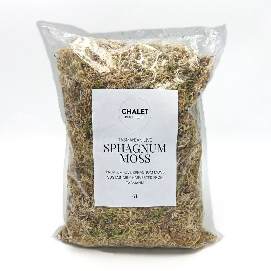 Live Tasmanian sphagnum moss 6L for indoor plants, rare plants & healthy root development, shipped across Australia.