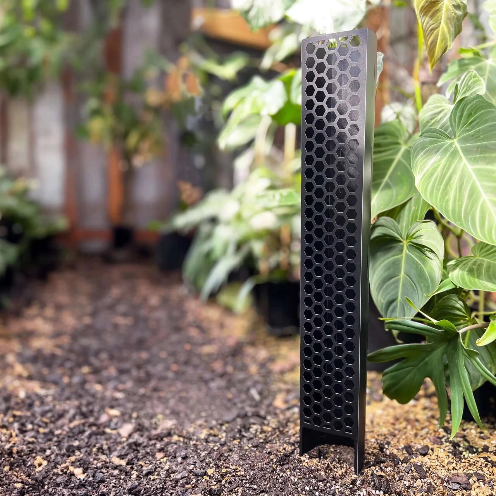 moss pole australia Adjustable Moss Pole for Thriving Indoor Plants