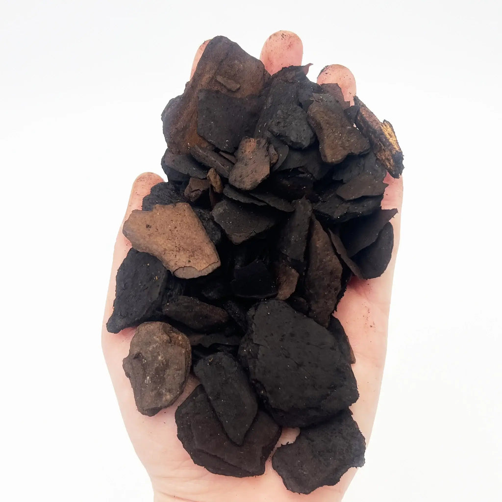 Premium Orchid Bark held in hand, ideal for indoor plants and rare orchids. Buy from Chalet Boutique, Australia.