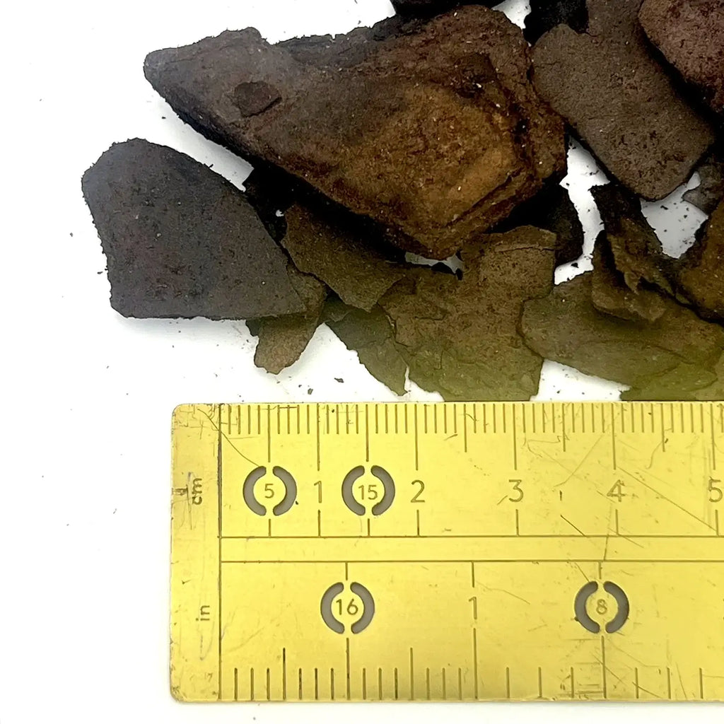 Premium Orchid Bark pieces beside a ruler, ideal for rare indoor plants and growing orchids, Chalet Boutique, Australia.