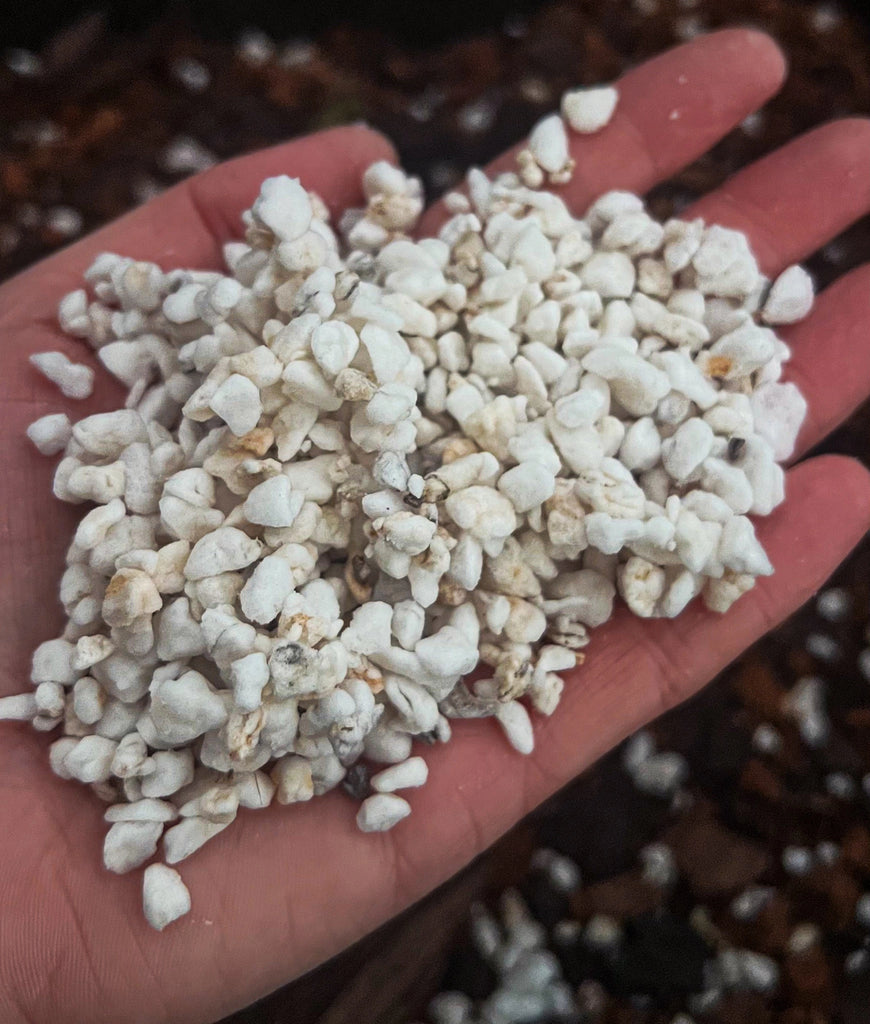 Premium coarse perlite in a hand, enhancing soil aeration and drainage for healthy plant growth. Chalet Boutique, Australia.