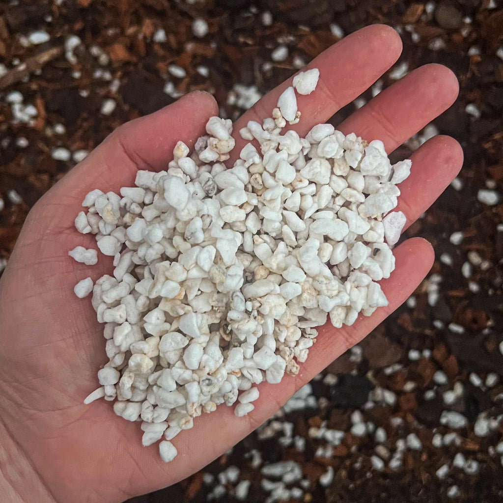 Hand holding premium coarse perlite for improving soil aeration and drainage. Ideal for indoor and outdoor gardening. Chalet Boutique, Australia.