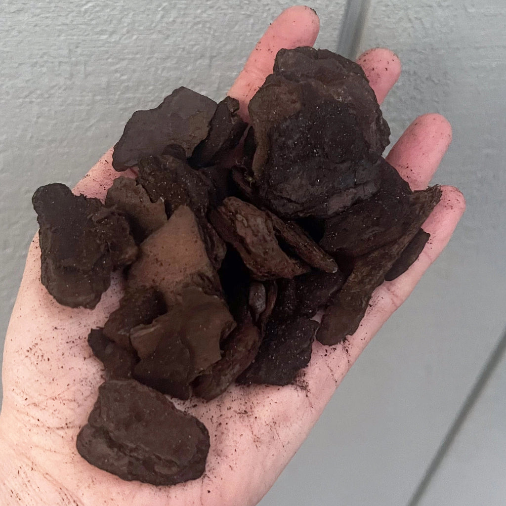 Hand holding Premium Orchid Bark for healthy indoor plants, ideal for orchids and tropical plants. Chalet Boutique, Australia.