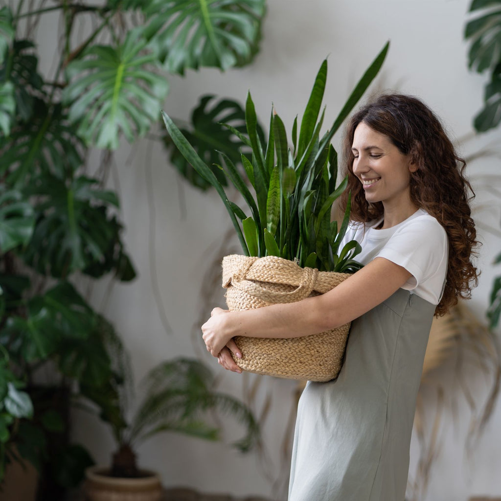 Australian Indoor Plant Nursery Rewards Program: Woman Smiling with Plants | Plants Online in Australia