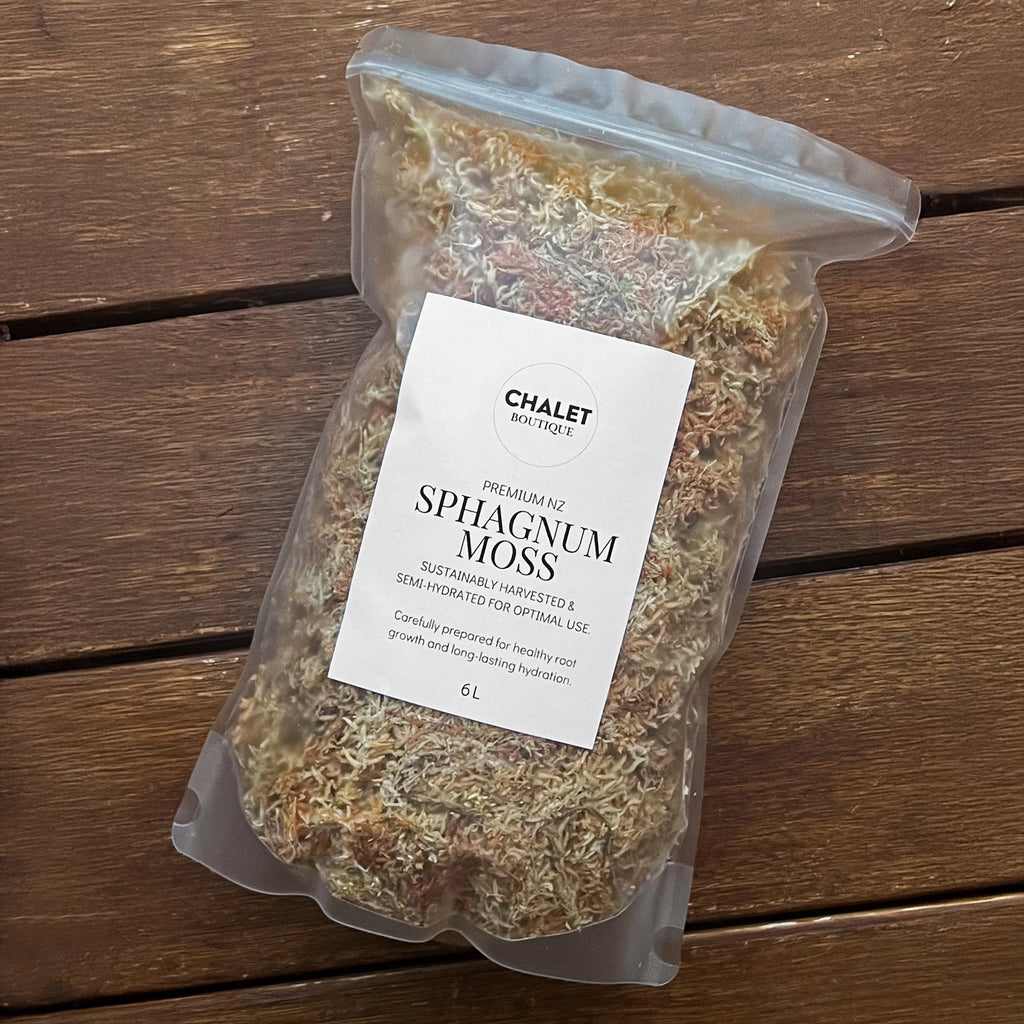 Premium NZ Sphagnum Moss 6L for indoor plants, perfect for potting and propagation. Chalet Boutique, Australia.