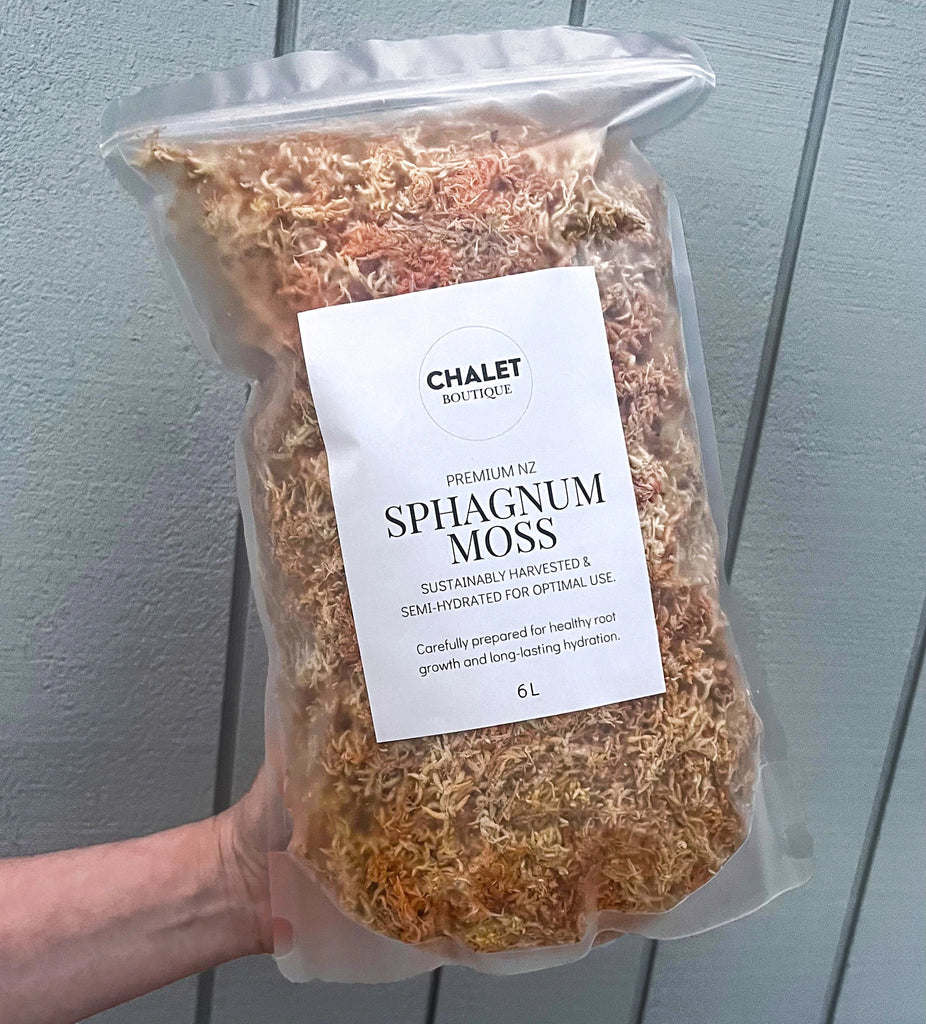 Premium NZ Sphagnum Moss 6L for healthy indoor plants and terrarium use, by Chalet Boutique, Australia.