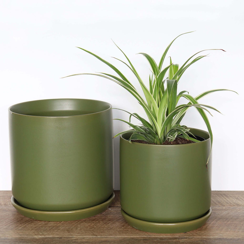 Medium Avocado Pot | Plant Pots | Chalet Boutique - Australia