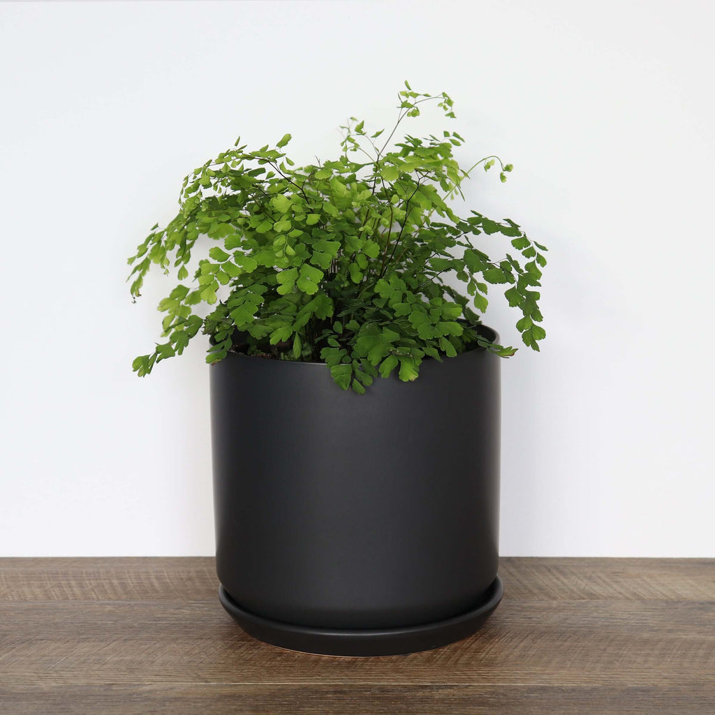 Large Black Pot | Plant Pots | Chalet Boutique - Australia