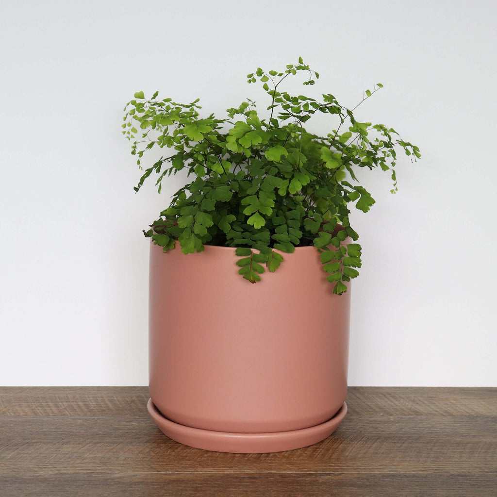 Large Dusty Rose Pot | Plant Pots | Chalet Boutique - Australia
