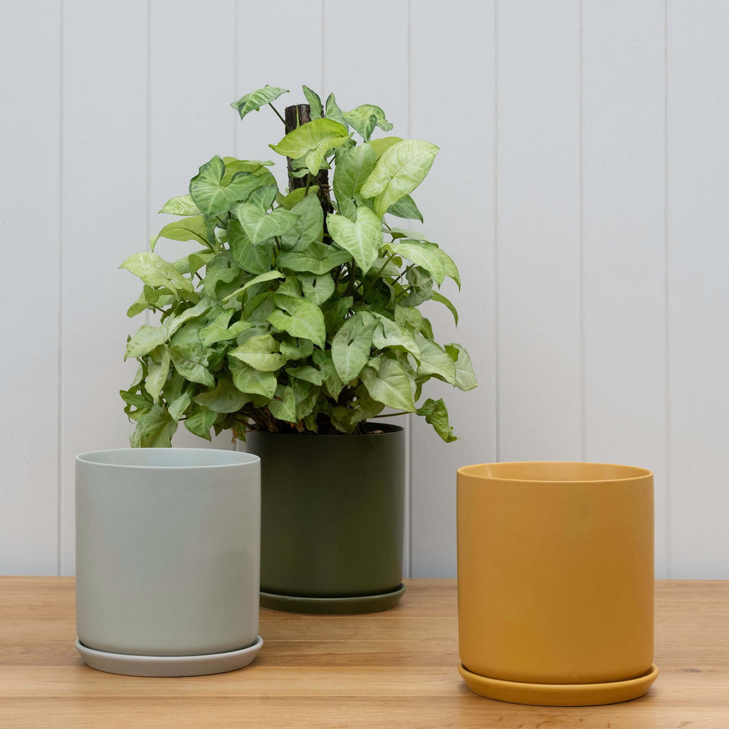 Large Ochre Pot | Plant Pots | Chalet Boutique - Australia