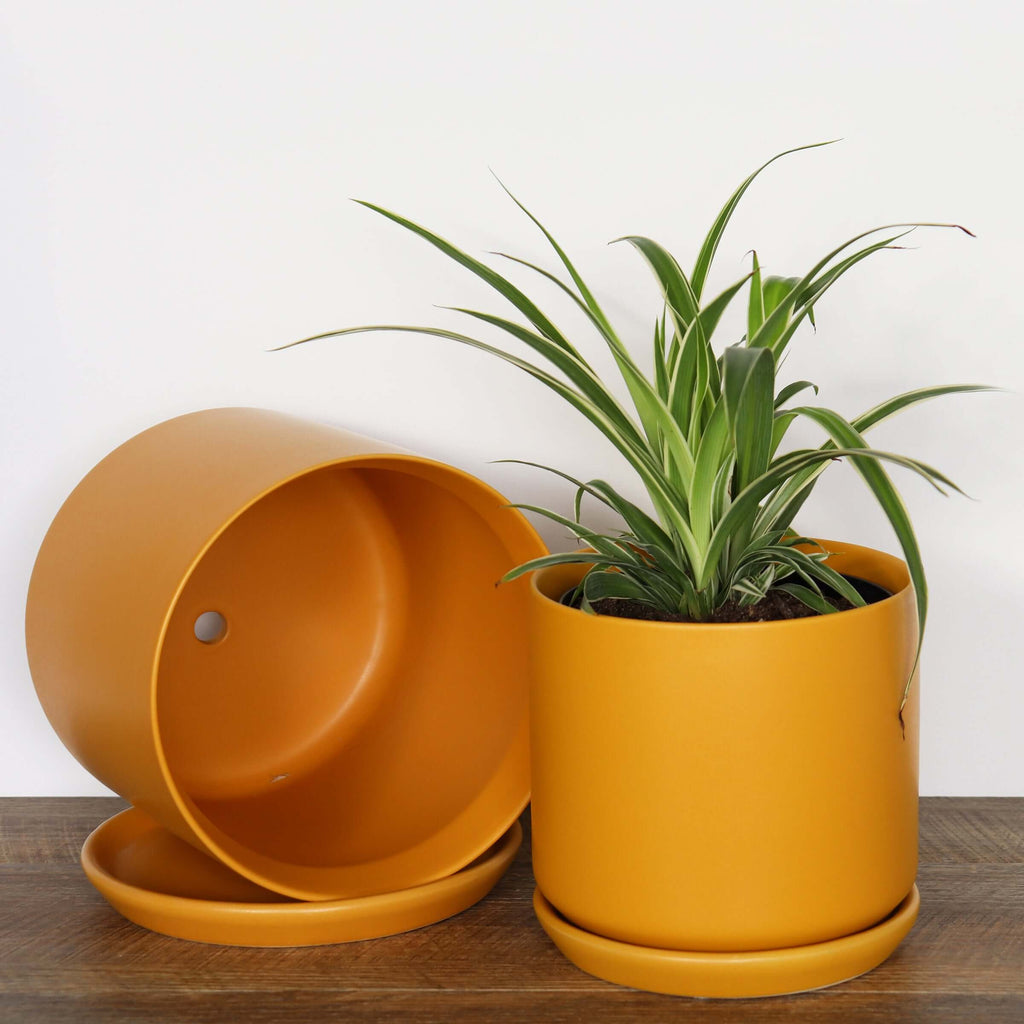 Medium Ochre Pot | Plant Pots | Chalet Boutique - Australia