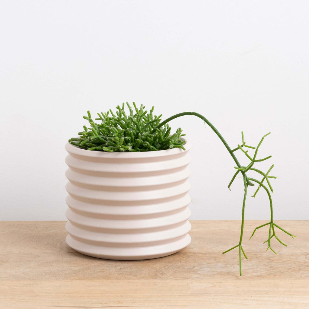 Parchment Cover Pot | Plant Pots | Chalet Boutique - Australia