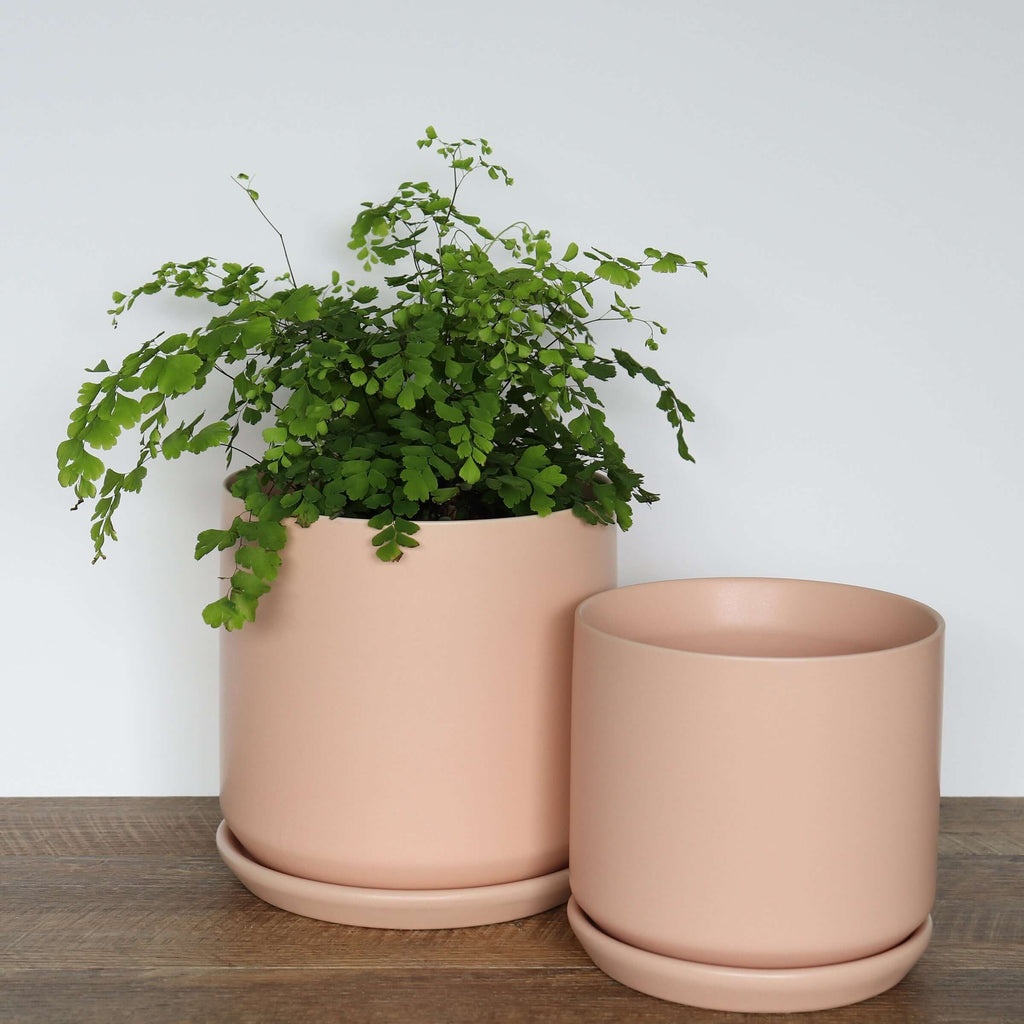 peach planter pot Large Peach Pot