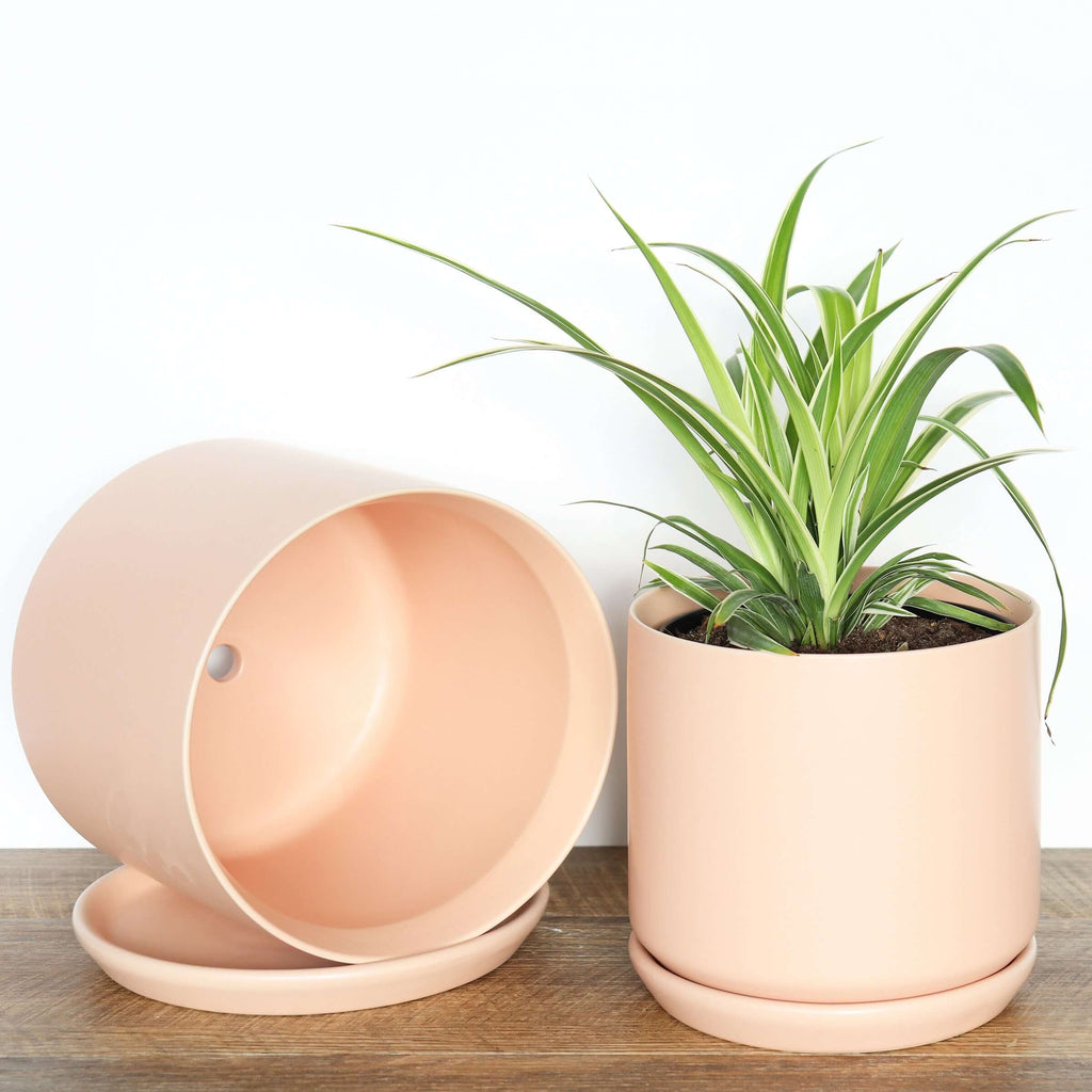 Medium Peach Pot | Plant Pots | Chalet Boutique - Australia