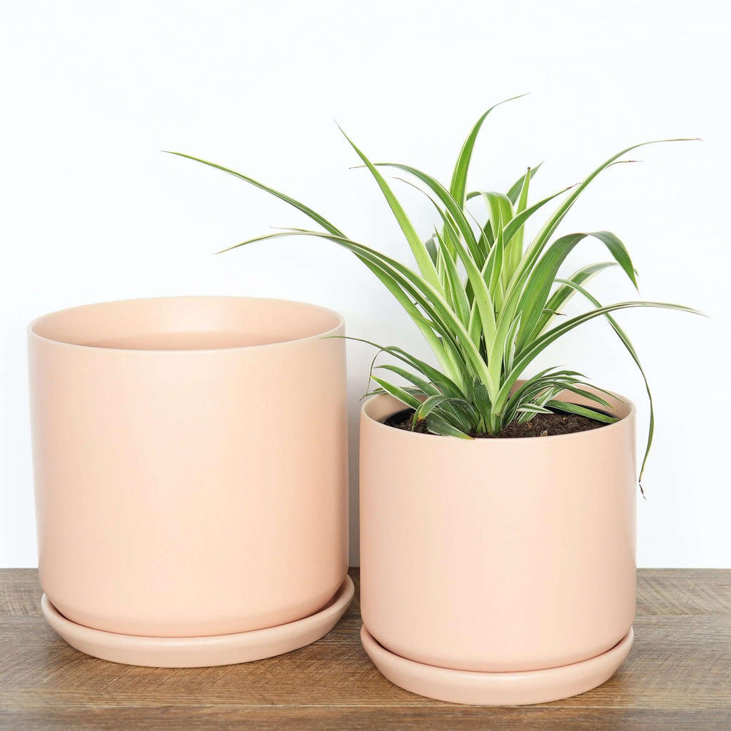 Medium Peach Pot | Plant Pots | Chalet Boutique - Australia