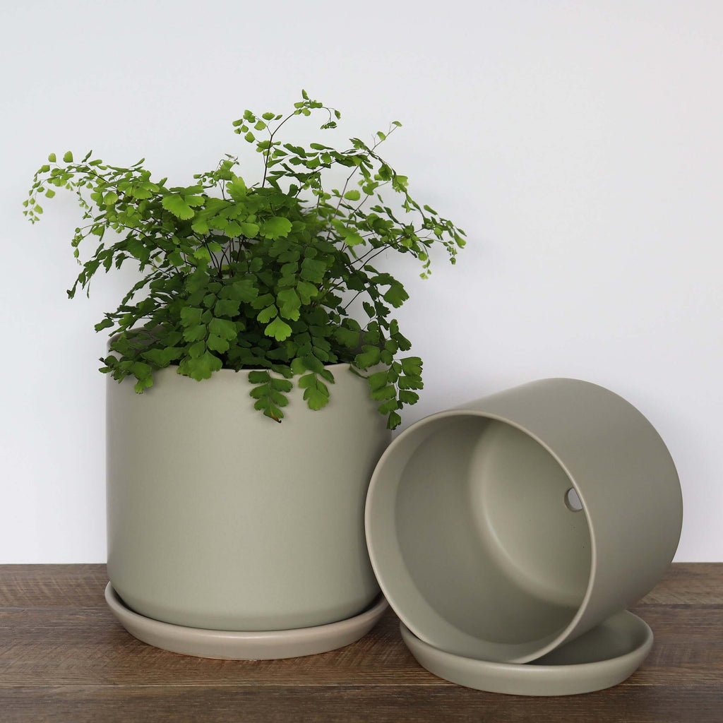 Large Sage Pot | Plant Pots | Chalet Boutique - Australia