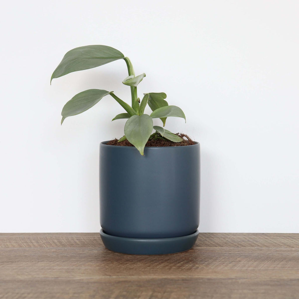 Small Navy Pot | Plant Pots | Chalet Boutique - Australia