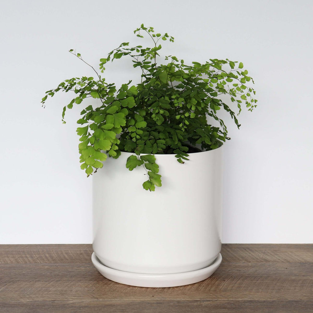 Large White Pot | Plant Pots | Chalet Boutique - Australia