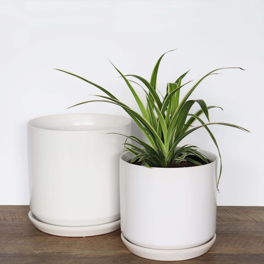 Medium White Pot | Plant Pots | Chalet Boutique - Australia